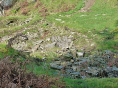 
Trwyn farmhouse, Nant Gwyddon Valley, Abercarn, November 2011